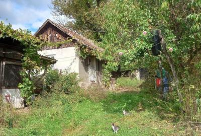 Casă cu Teren 935 Mp în Ribița - 2