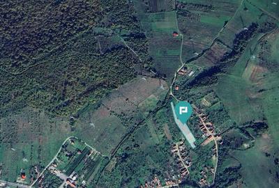 Teren faneata langa padure - Hunedoara - 1
