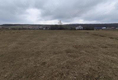 Teren de 1100 mp, în Mogoșești - 5