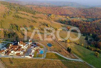 De vanzare teren extravilan 3854 mp acces auto Paltinis Sibiu - 1