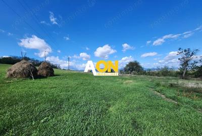 De vanzare 2965 mp teren intravilan, toate utilitatile, Oarda de Sus De vanzare 2965 mp teren intravilan, toate utilitatile, Oarda de Sus - 7