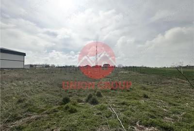 Teren de 513 mp, în Viile Noi