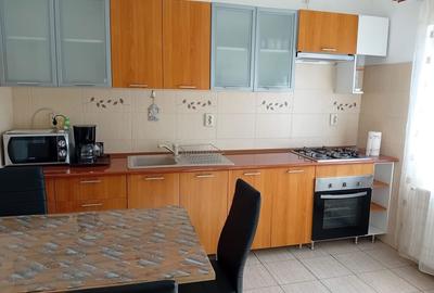 Casă cu 4 camere cu Teren 330 Mp în Dumbrăvița - 1