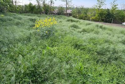 Casă individuală cu 3 camere cu Teren 850 Mp în Tămădău Mic - 5