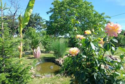 Teren de 1000 mp, în Careiului - 3