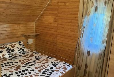 Cabana de inchiriat ranca - 3