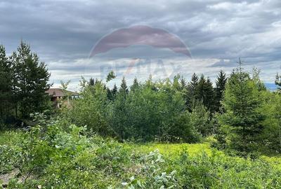 Comision 0%! Teren Sacele / Strada Valea Larga 2000 mp - 7