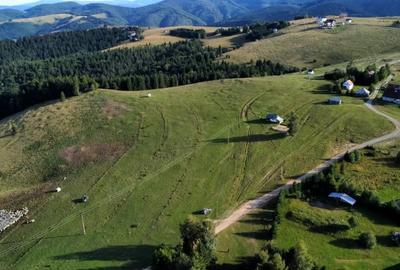 Teren de 1113 mp, în Paltin - 3