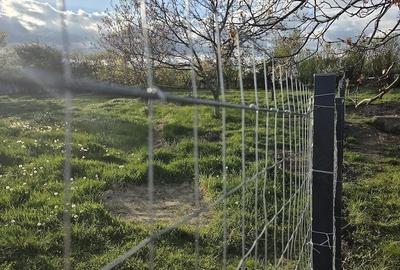 Teren de 611 mp, în Comșești - 8