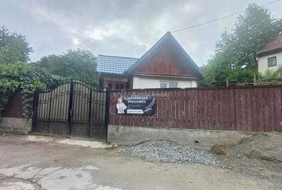Casuta traditionala de vanzare in Saliste - 2