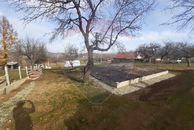 Teren de 1050 mp, în Tohănița - 12