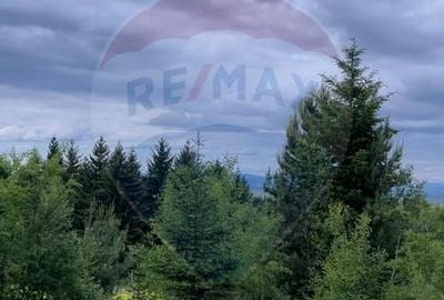 Comision 0%! Teren Sacele / Strada Valea Larga 2000 mp - 10