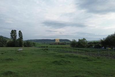 Teren 3953 mp Falticeni Tarna Mare De 0727817187 - 8