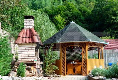 Casa de vacanta pretabila pentru pensiune autorizata - 1