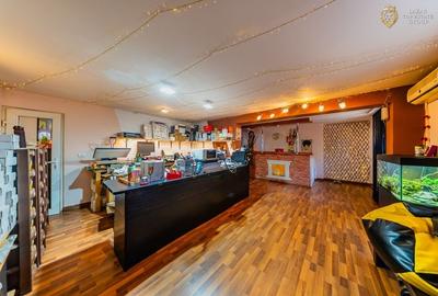 Casa P+M de vanzare Vladimirescu - 17