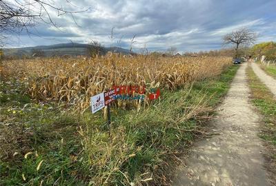 Teren intravilan de vânzare în Șard - 1