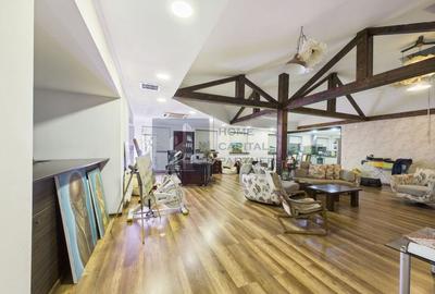 Proprietate rezidențială unică: 726 mp, 15 camere, 4 niveluri - 2