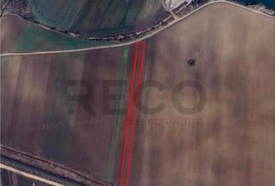 RECO Teren extravilan 2700mp Bors - 2