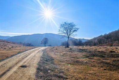 22.206 mp (2,2 Ha) TEREN INTRAVILAN SUPERB CU PEISAJ PANORAMIC, NEGRENI - CLUJ - 2