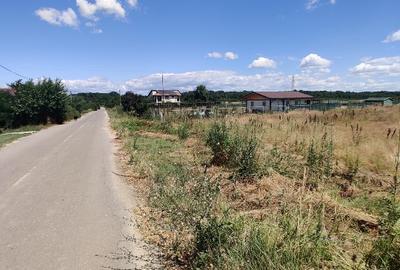 Teren, Pădurea Scrovistea - 5