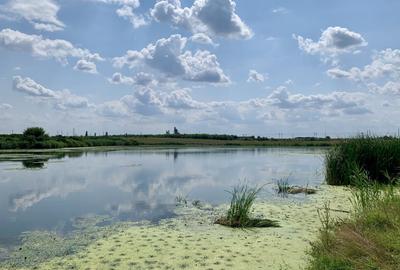 Teren agricol intravilan de 45000 mp, în Crevedia - 2