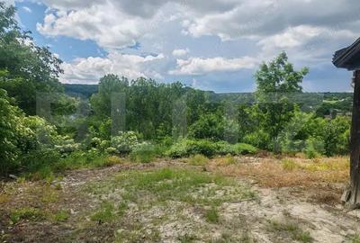 Teren de vanzare, 3800 mp, casa batraneasca demolabila, zona Adancata - 4