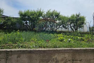 Casă individuală cu 12 camere cu Canalizare în Sfântu Ilie - 36