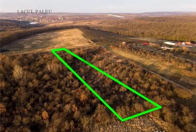 Teren în Săldăbagiu de Munte - 2