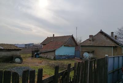 Teren Construcții intravilan de 4625 mp, în Cataloi - 6