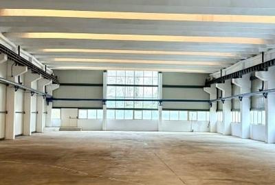 Spațiu industrial, de 990 mp, în Tătărași - 2