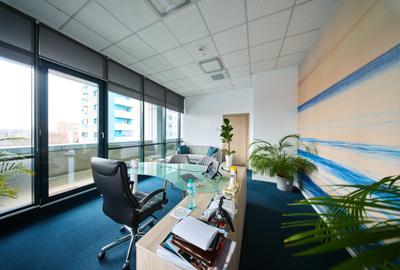 Birouri cu depozit de închiriat - 33