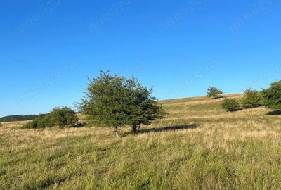 Teren de 2900 mp, în Roșia - 3