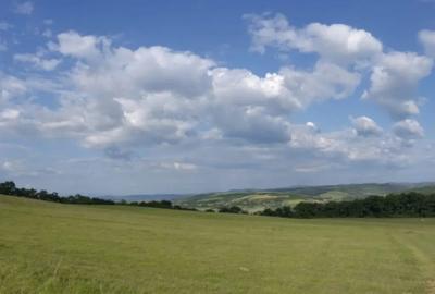 Teren de 1200 mp, în Dej - 1