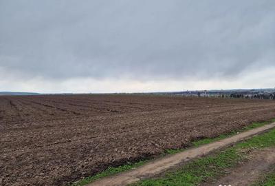 Teren de 10000 mp, în Vest - 12