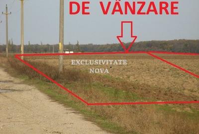 Teren 9Ha -> 16Ha Ha Intravilan , Exit A3 Snagov Ghermanesti Bucuresti-Ploiesti - 12