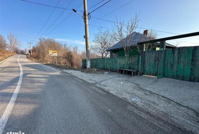 Casă cu 3 camere cu Teren 6856 Mp în Dumitrești