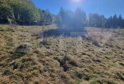 Teren de 2346 mp, în Poiana Mărului - 2
