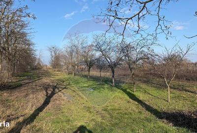 Teren de 2300 mp, în Vânători - 3