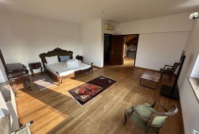 Proprietate cu piscina Dumbravita - 16