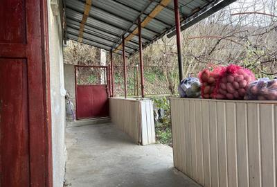 Casă cu 4 camere în Homorod - 5