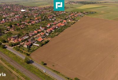 Spațiu comercial, în Șofronea - 6