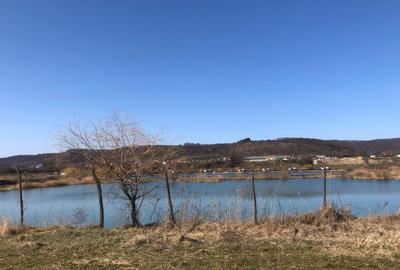 Teren extravilan de 4000 mp, în Mărăcineni - 10