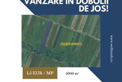 Teren de 5000 mp, în Ilieni - 3