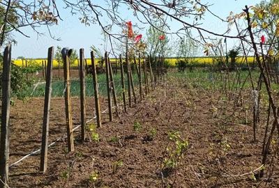 Casă cu 4 camere în Central - 6