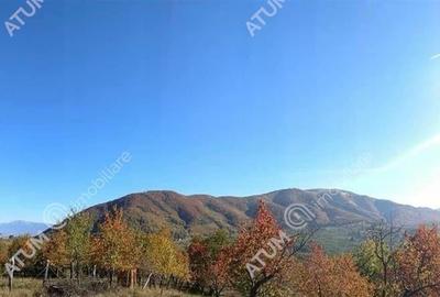 Teren intravilan 2039 mp situat in Cisnadioara din Sibiu - 4