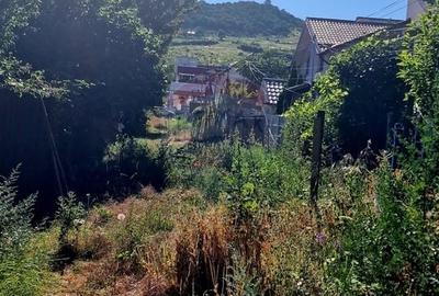 Teren Construcții intravilan de 3538 mp, în 1 Mai - 18