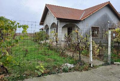 Casă cu 5 camere în Central - 2