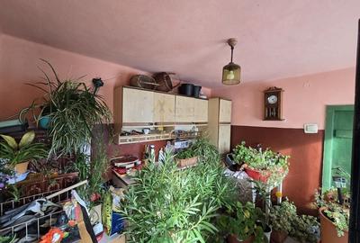 Satu Mare, Zona Titulescu, Oportunitate pentru familie mare sau firme. - 28