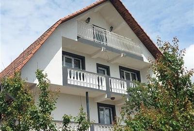 Casa cu 2 etaje si hala mare in Ineu de Cris