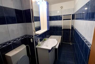 Apartament 2 camere   Strada Mare a Unirii, etaj 2 / 3 - 9